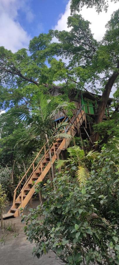 Tanna Volcano View Tree House Lenkuru Exterior photo