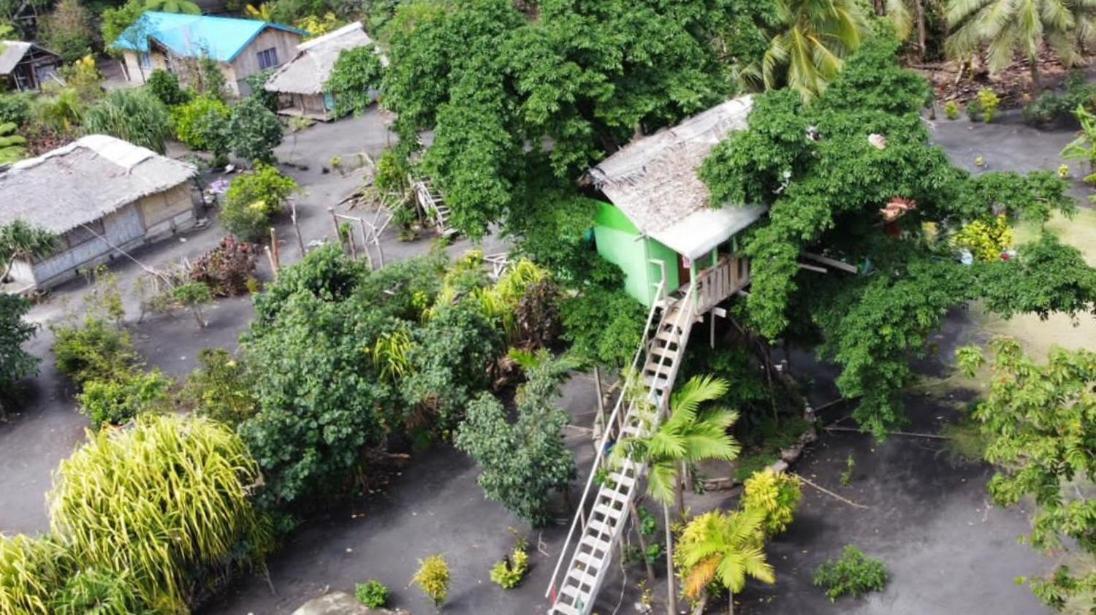 Tanna Volcano View Tree House Lenkuru Room photo