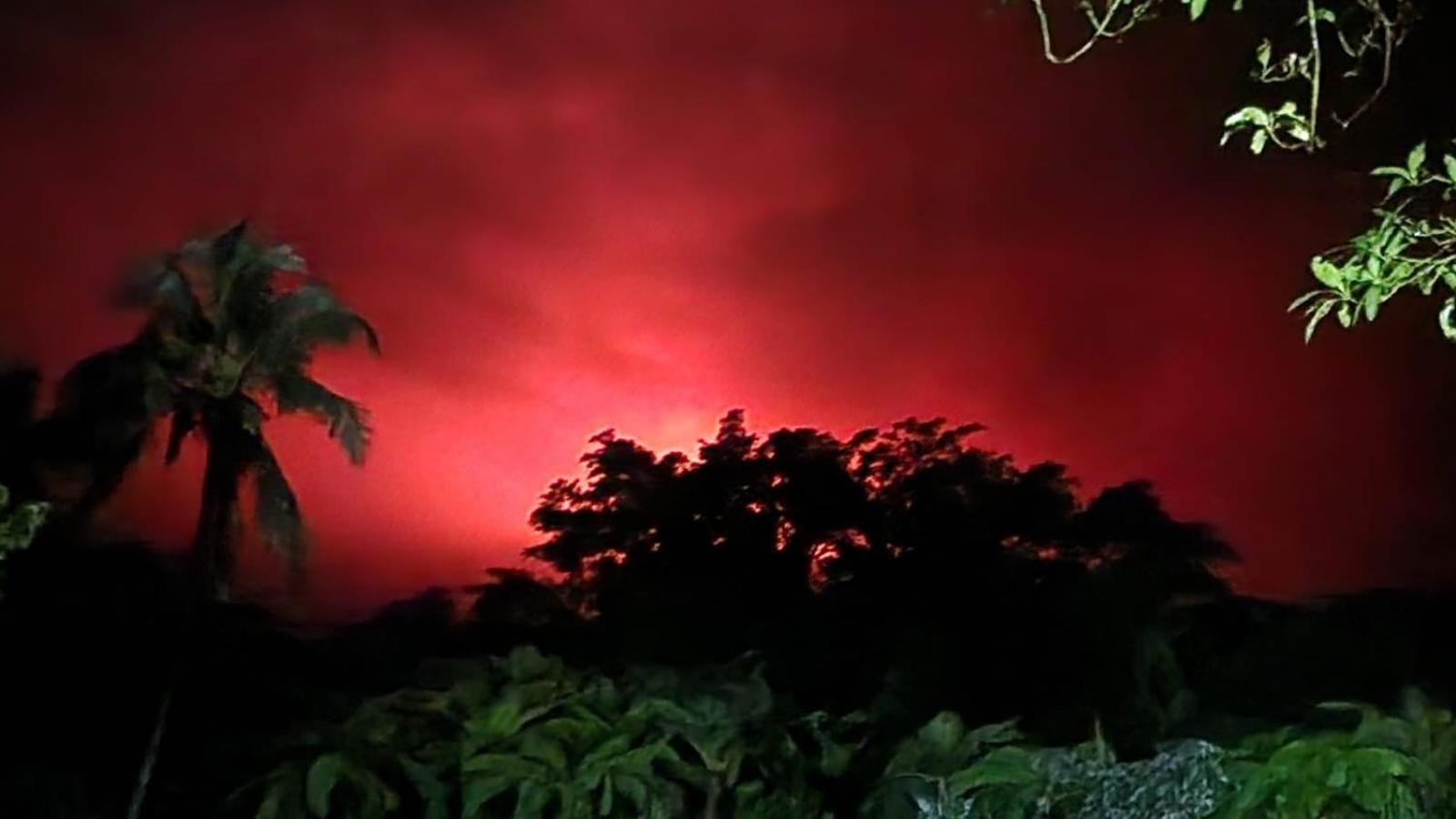 Tanna Volcano View Tree House Lenkuru Exterior photo